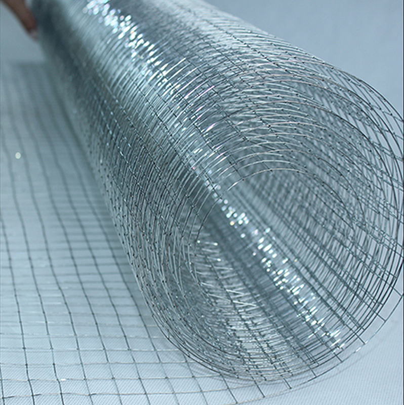 Goper Wire/Hot-dipped Welded Mesh